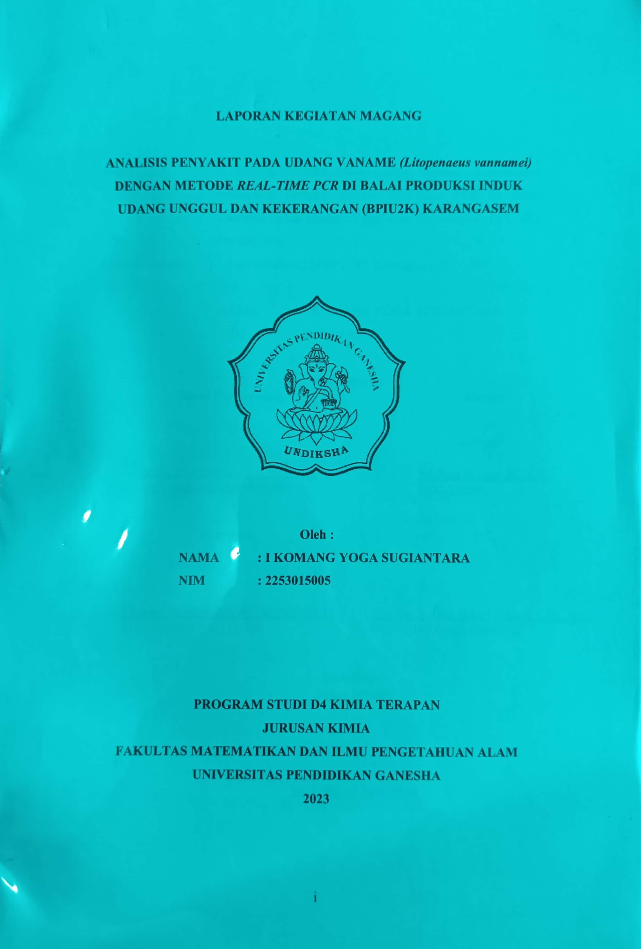 20240722013023_Komang Yoga.jpg
